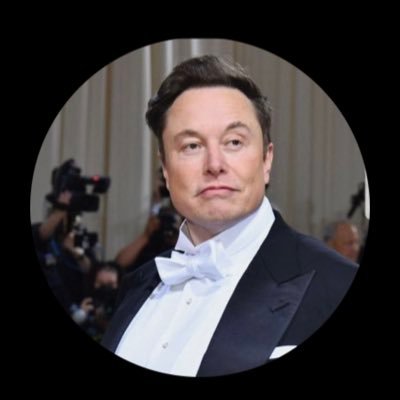 Elon musk tesla private investment chat 🚀💎