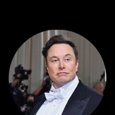 Elon musk tesla private investment chat 🚀💎