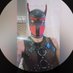 😈 (@barbudotatuadoo) Twitter profile photo 😈 (@barbudotatuadoo) Twitter profile photo