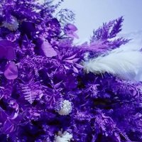 OCTPATH request (@octpath_request) 's Twitter Profile