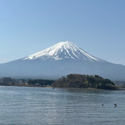 Mkusu8's profile picture.