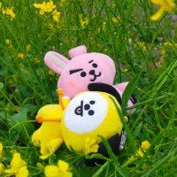 ふきん (@d1shcl0th) 's Twitter Profile Photo