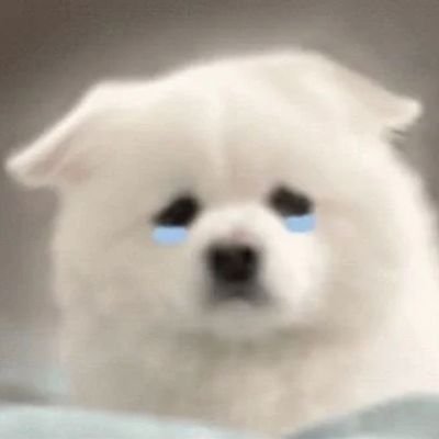 BABYW00X's profile picture. 