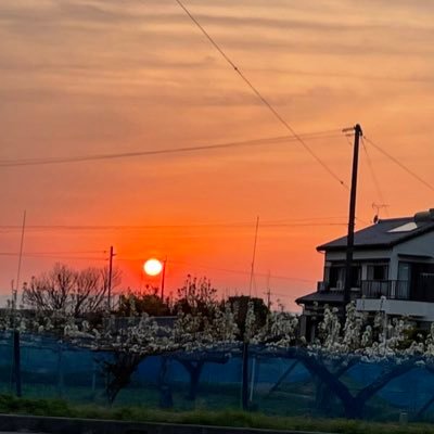 Syo504171371352's profile picture. 話しかけてください！
仲良くしましょう！
