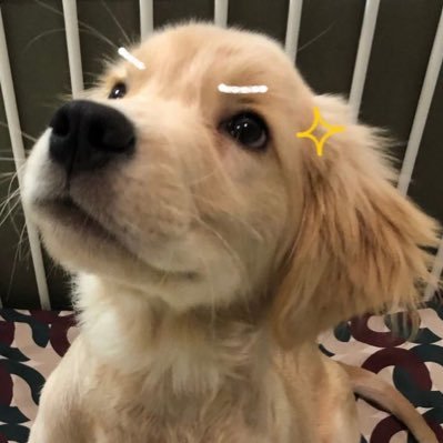 PPhainglim's profile picture. 