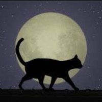 大人黒猫🌙.* (@adultblackcat_5) Twitter profile photo