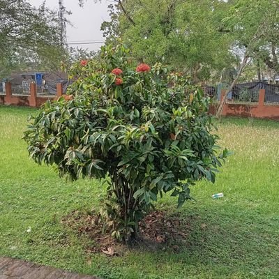 Mohammedyu64861's profile picture. 