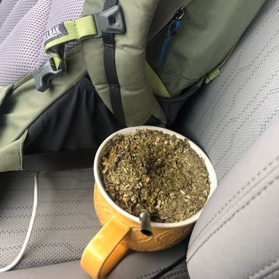 thedonofdonalds's profile picture. 