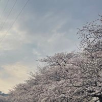 sssssh (@x_nydue) Twitter profile photo