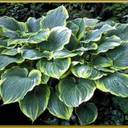 Brock Alexander - @mralexandersays - Twitter