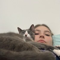 valenta (@valengiorda1) 's Twitter Profile