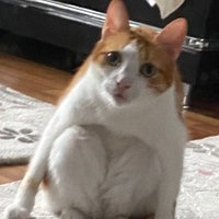 m (@benciikiyorum) Twitter profile photo