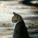 Cameron Moreno - @MorenoCameron - Twitter