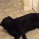 Doug Lowe - @dlowe04 - Twitter