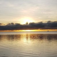 Walter (@i_am__walter) 's Twitter Profile