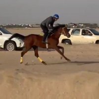 حسن سعود  العجمي (@al3jmi79) 's Twitter Profile Photo