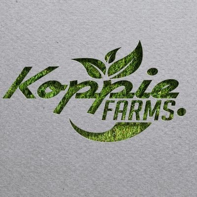 My Grandmother Used To Say That Once In Your Life You Need A Doctor, A Lawyer & Policeman. But Every Day, Three Times A Day, You Need A Farmer #KoppieFarms