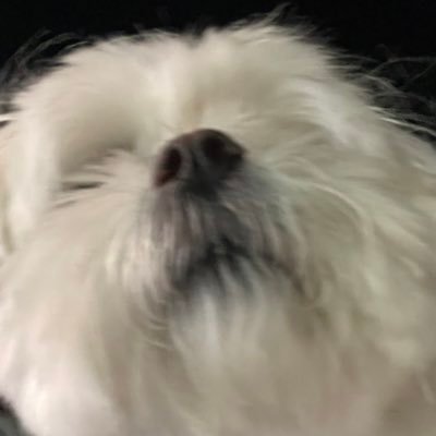 I1K2CULEsnJLFy6's profile picture. 