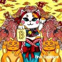 Bnb Explorer (@explrer_bnb) 's Twitter Profile