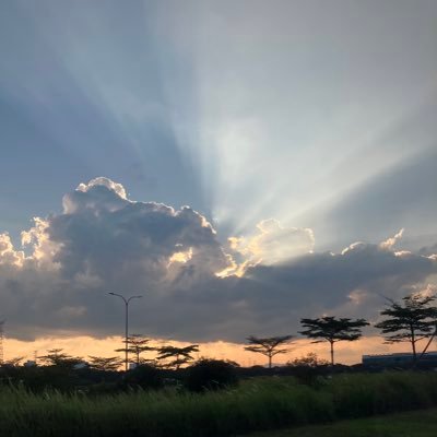 humanlah's profile picture. 