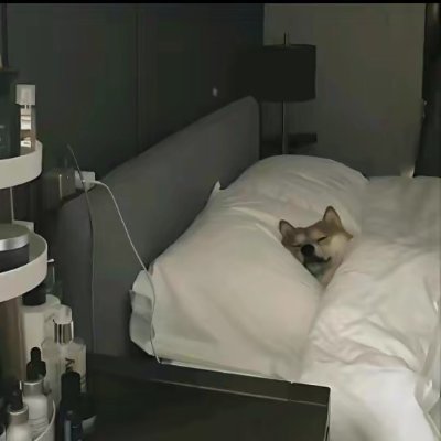 vdwqs468386's profile picture. 