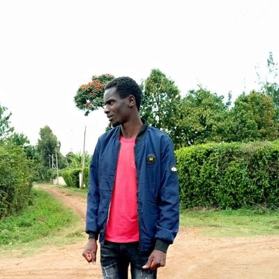 Allan17382858's profile picture. 