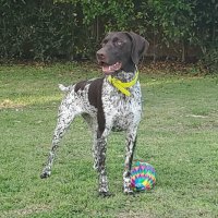 T (@tonytradeses) 's Twitter Profile