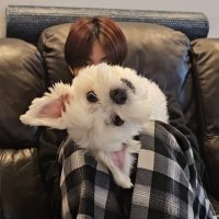 🎀 (@antonihee) Twitter profile photo