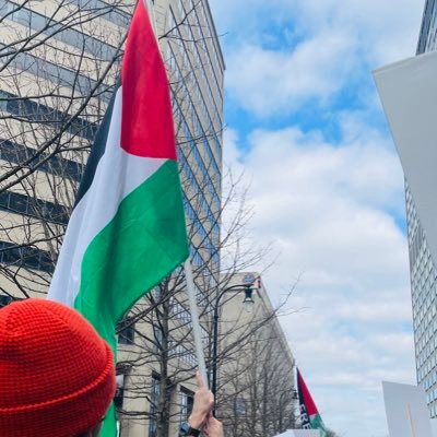 FREE PALESTINE 🇵🇸✌️