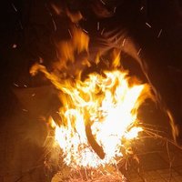 سعید مختاردل جو (@mkhtaryd4556) 's Twitter Profile