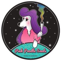 PinkPoodleSeeds(@PinkPoodleSeeds) 's Twitter Profile Photo