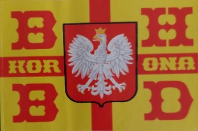 Maciej Scyzor Profile