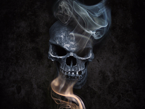 finalvendetta's profile picture. wtf am i supposed to write here