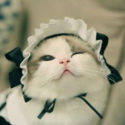 왕왕さんのプロフィール画像