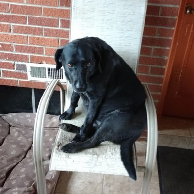 CreatorCrator's profile picture. Occasional Strea❌er, Aspiring ❌usician, General Du❌bass. https://t.co/tgTOrz3mkg https://t.co/O24VbCMxrb