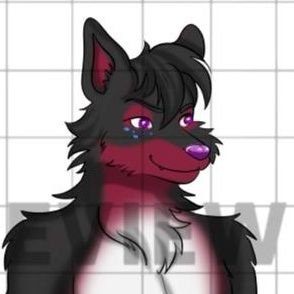 Hey I'm Alex james *wagging tail* He/Him level 24 ops might be down for commissions ^X^