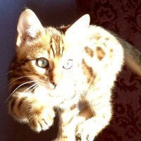 KiPiMi (@kipimi275985) 's Twitter Profile Photo KiPiMi (@kipimi275985) 's Twitter Profile Photo