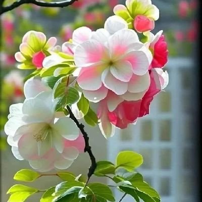 yasir45192's profile picture. Love is Life.
Don't leave a person who trust you Blindly...