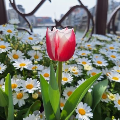 @ZOF4oqWEjR79099