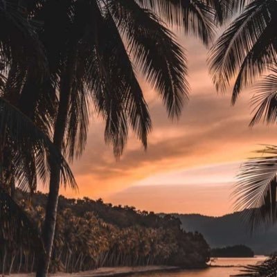 vicnaturelover's profile picture. 