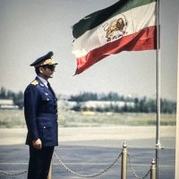 Iran (@thesoundoftree) 's Twitter Profile