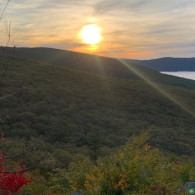 worldphenomena's profile picture. 