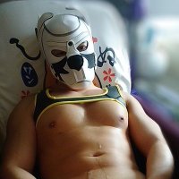 虛數神犬🐶燚🐕之奇幻旅程 (@plbpppp) 's Twitter Profile