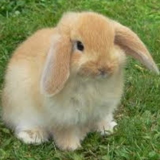 U_P_Y_O_U_R_S's profile picture. This is dedicated to posting all of that BS that everyone truly wishes they could post.. but probably actually wouldn't.