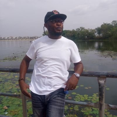 toochukwuude0's profile picture. Farmer, technocrat.  Politician, Contractor. Solar power Installer