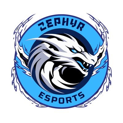 Hey! 👋 This is the Official Twitter for https://t.co/sJTmlHNfEb eSports! UP THE DRAGONS 🐉💙🤍