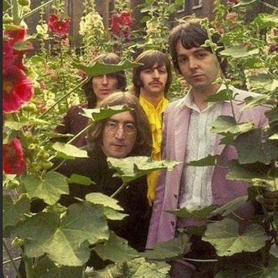 cuenta de un random
- beatlemaniatico
-roncanlover
-estefan