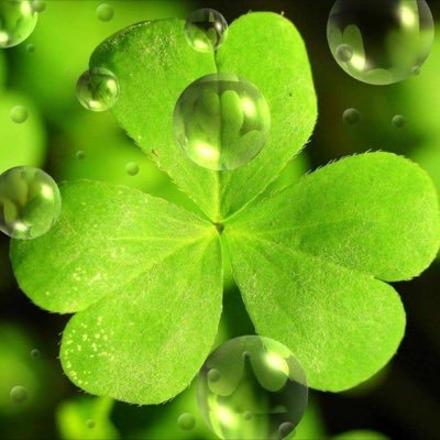 loves books fairness equality and Celtic FC 🍀🍀🍀🍀#weneverstop🍀 #wewantanelection 🇮🇪