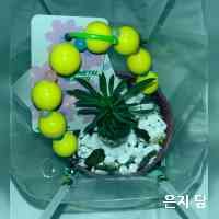 t_angeunuij42's profile picture. 🪷 712-15 BLS콜라겐팩