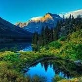 Enterate2024's profile picture. 